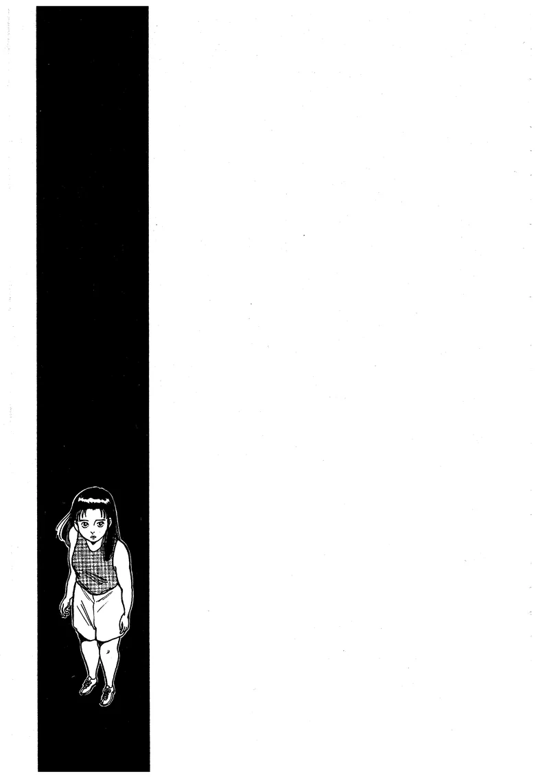 制裁者- 矢岛正雄